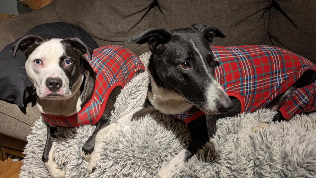 Admiral Hopper and Dr. Rubin